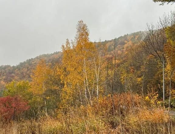 ハロウィン何してる？？