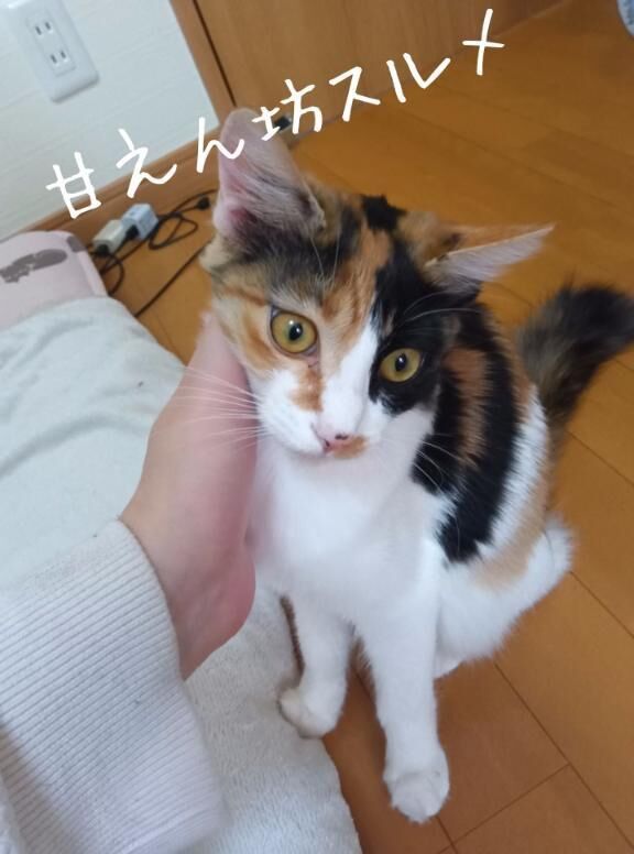 出勤しましたぁ