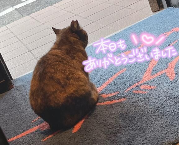 本日も♡
