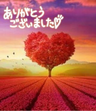 29日  70分仲良しTさん♡♡