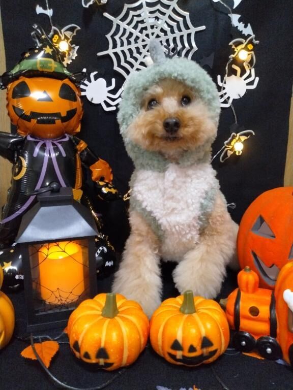 [お題]from:水がぶ飲み☆さん