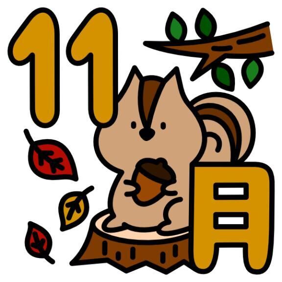 11月&#127810;