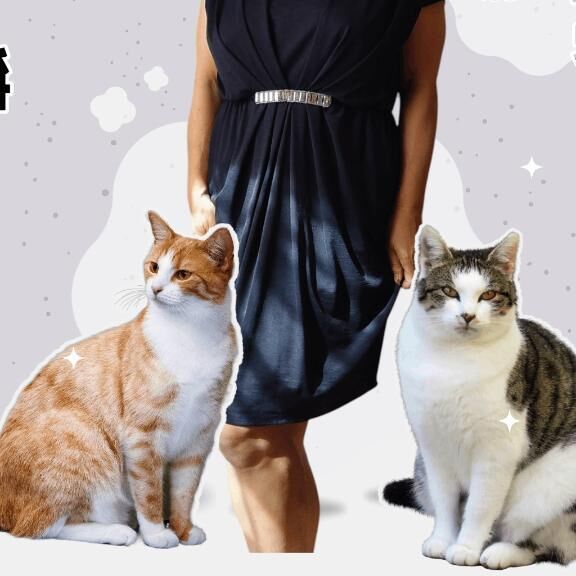 今月も宜しくお願いします(^^)