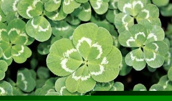 10/30ウィル本指名U様