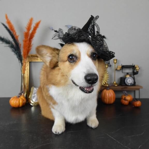 生理休暇 &#9825;&#9825;&#9825;&#9825;