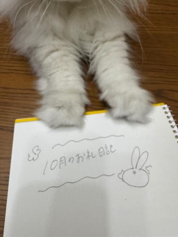 【10月のお礼日記】（長文）