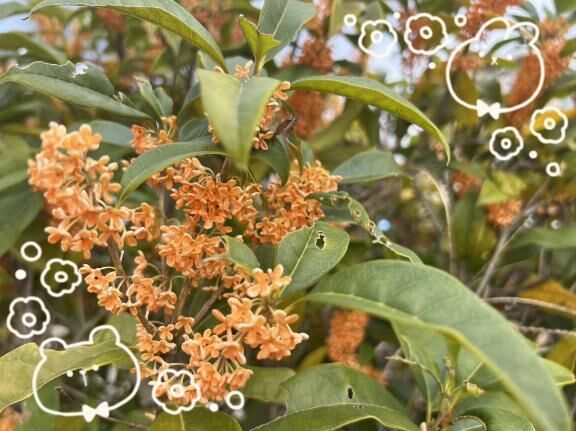 おはようございます♪