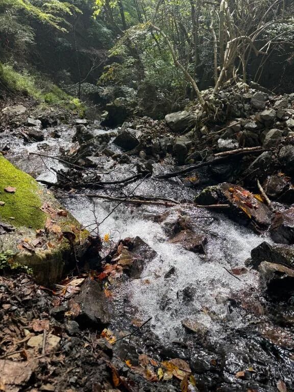 お休みの日は&#9968;&#65039;
