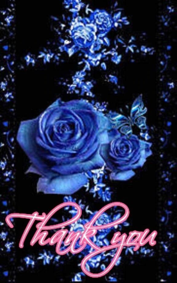 昨夜19時〜のお礼です♪