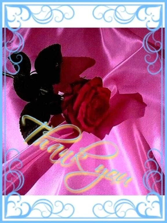 昨夜21時30分〜のお礼です♪