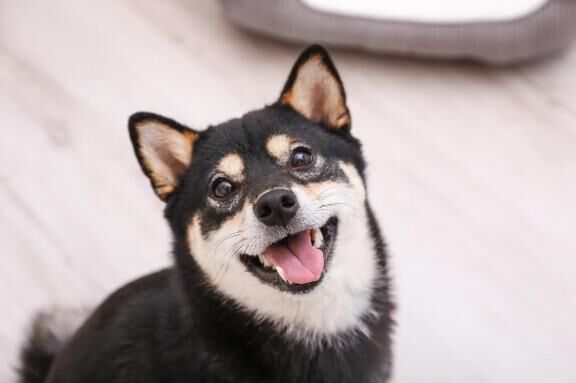 おはようございます