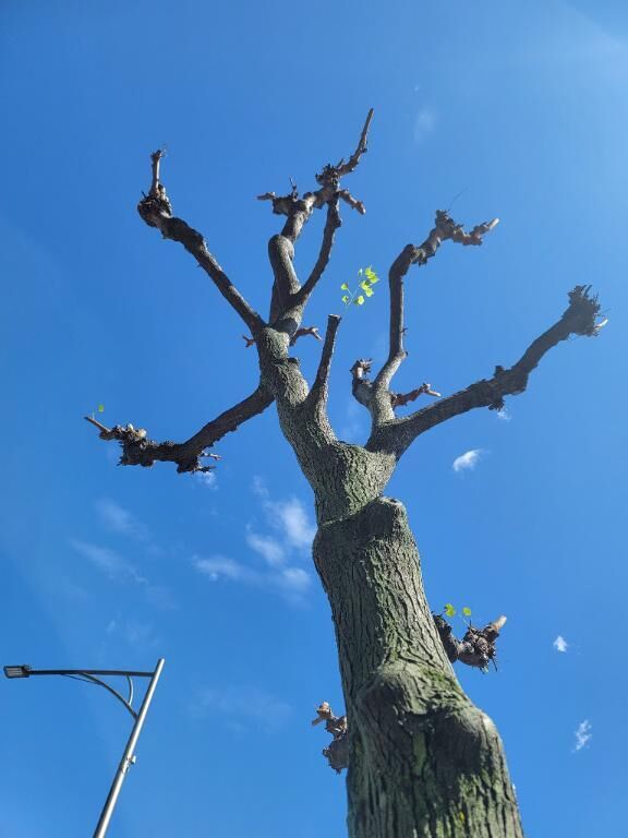 秋晴れ&#x301C;&#9825;&#9825;&#9825;&#9825;&#9825;&#9825;