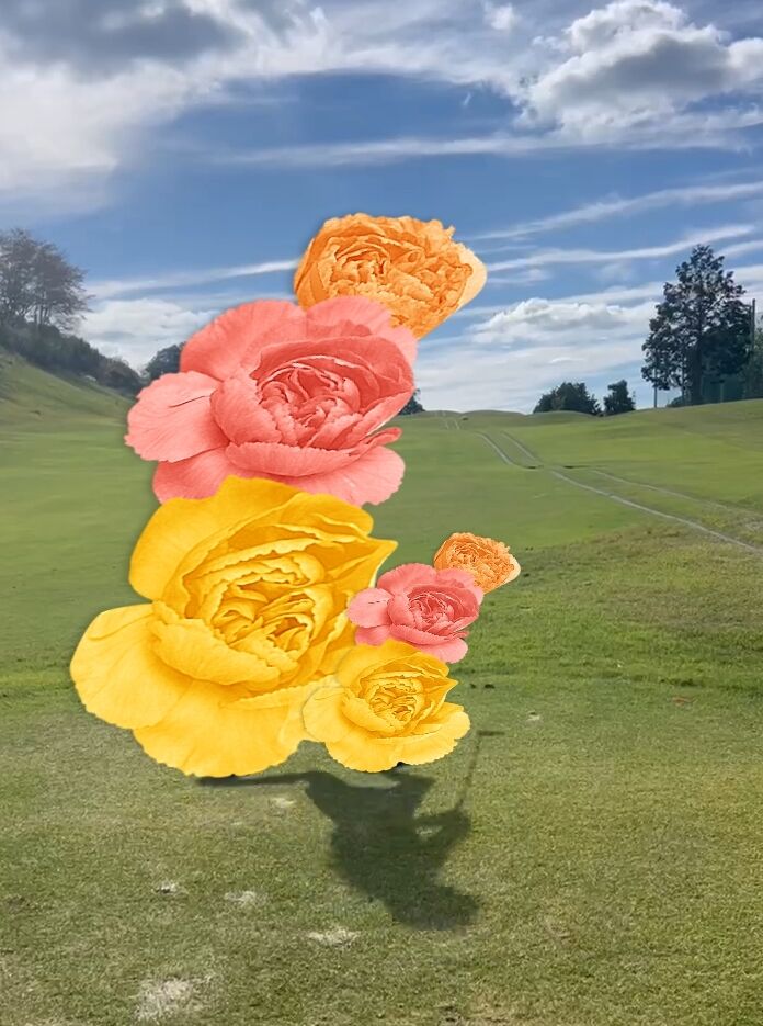 ポッキー予備日