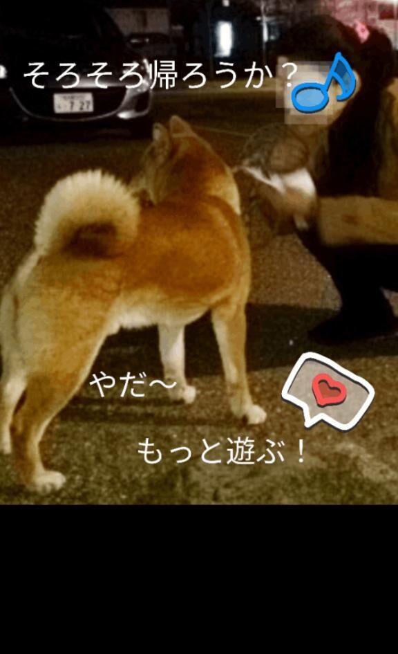 [お題]from:水がぶ飲み☆さん