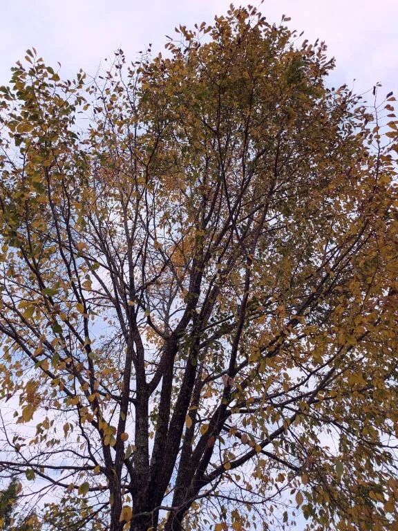 李今日は…李勺待機中です勺