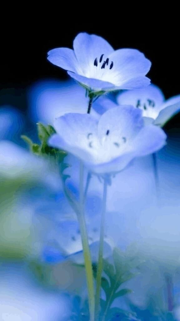 ☆こんにちは☆