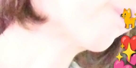 見つけました&#128149;&#128008;&#65039;