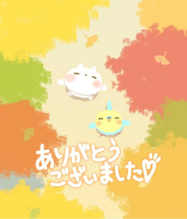 31日の感謝です&#9825;&#9825;(&#9825;´&#9825;` )