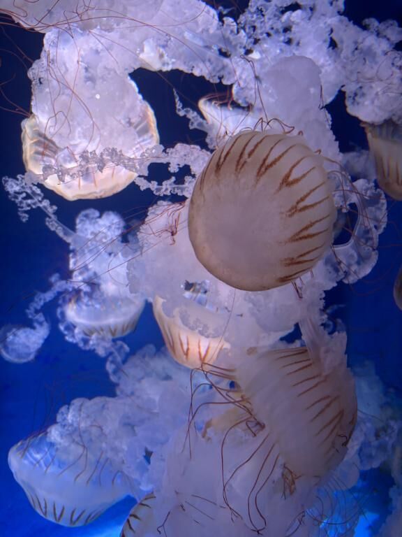 すきなもの&#9825;&#9825;