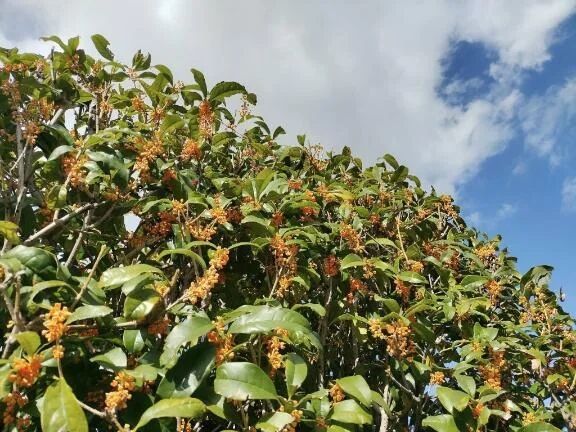 幸せ過ぎる&#9825;