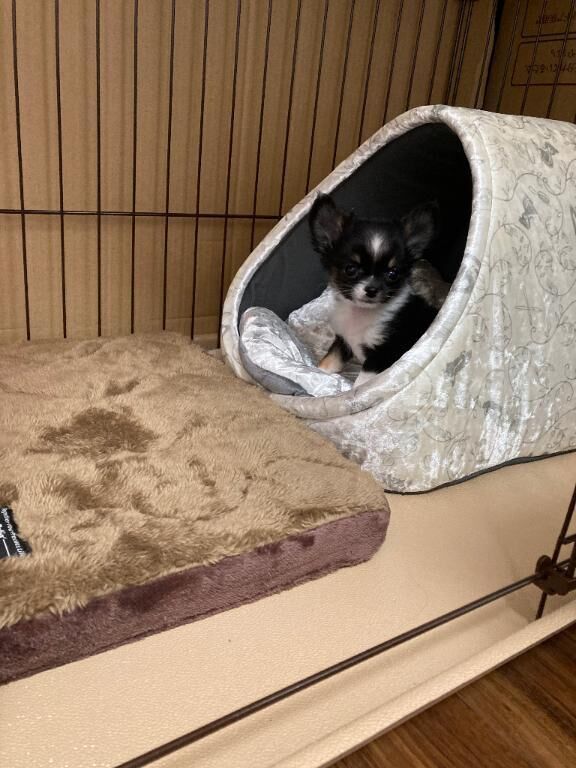 我が子&#9825;&#9825;