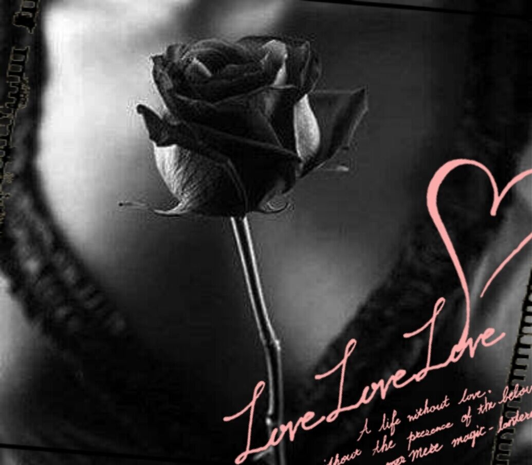 ♡♡♡♡ ♡♡♡♡