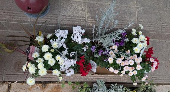 &#9825;&#9825;明日こそ…&#9825;&#9825;