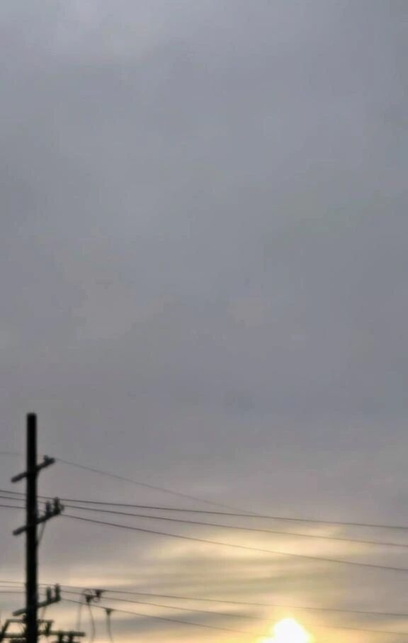 李おはようございます李