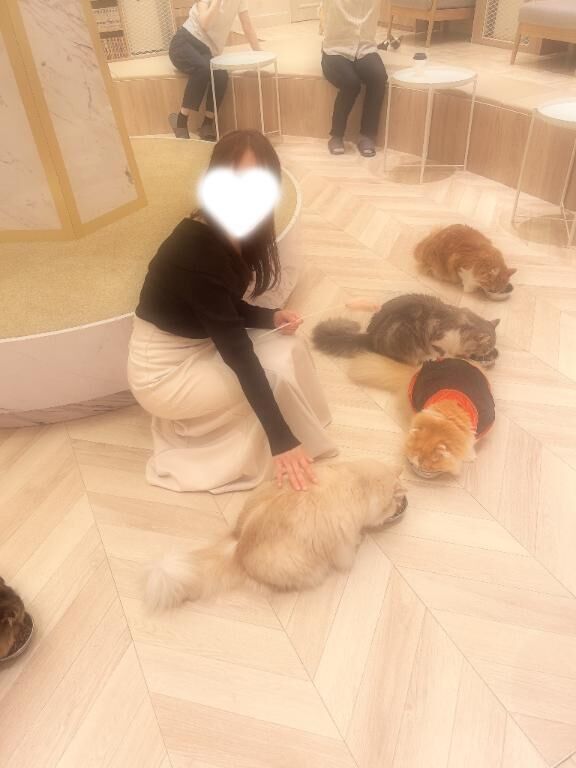 ご予約頂いていたお客様へ