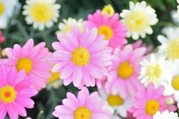 おはようございます♡