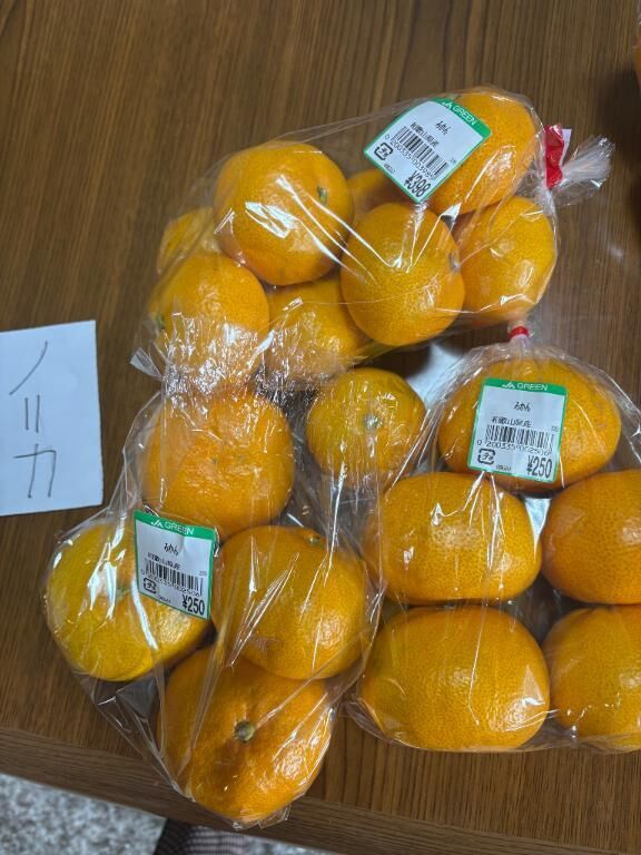 ユーコ先生の殿様へ