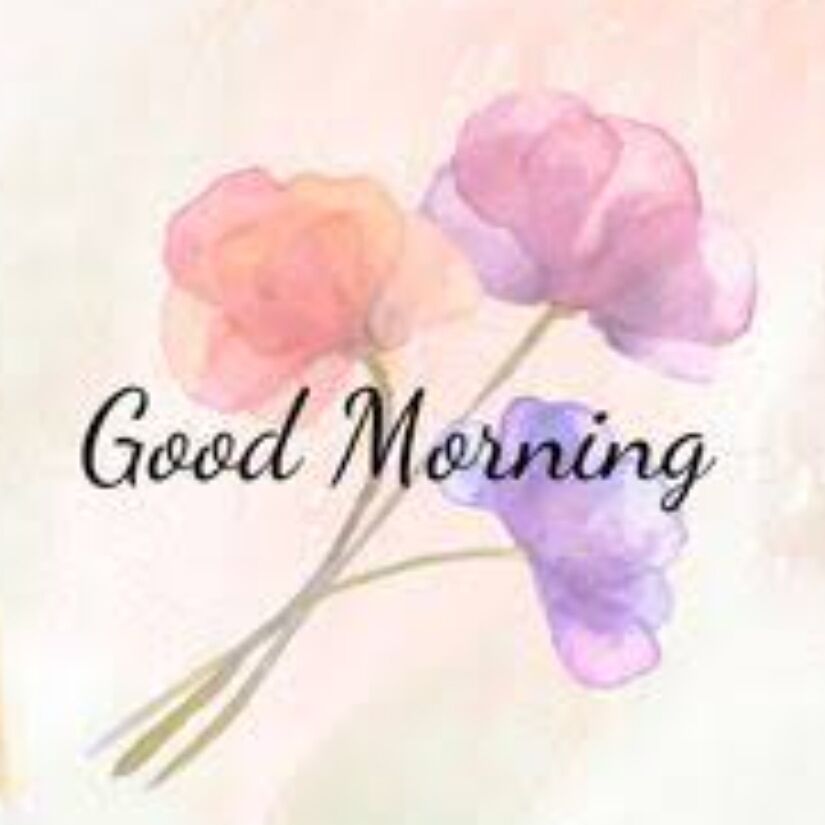 ありがとうございます