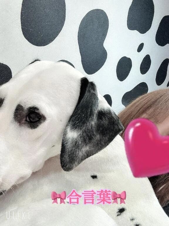 &#127872;合言葉&#127872;