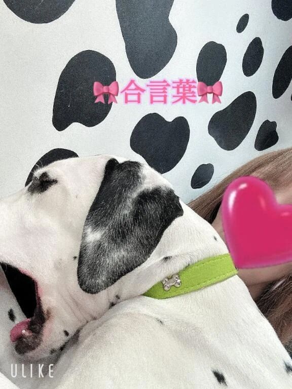 &#127872;合言葉&#127872;