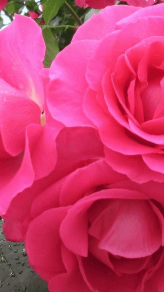 ☆こんにちは☆