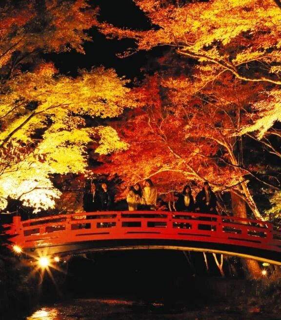 紅葉見に行きたい