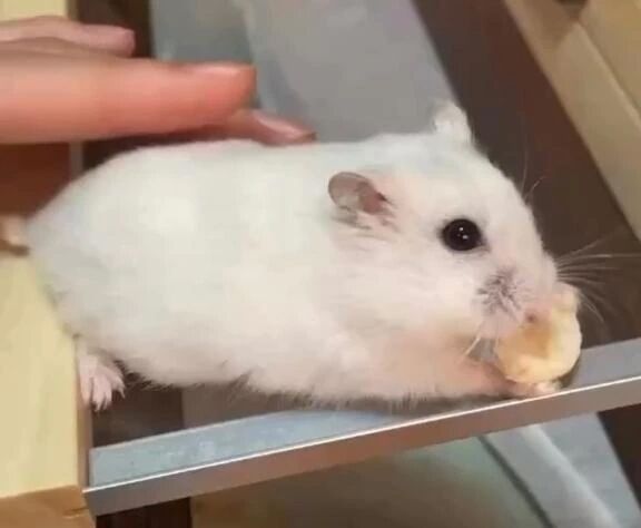 (常に)行きました&zwj;♀️