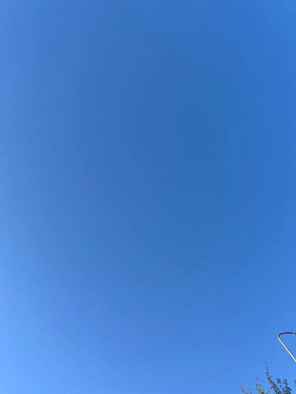 過去に戻りたい？戻るならいつ？