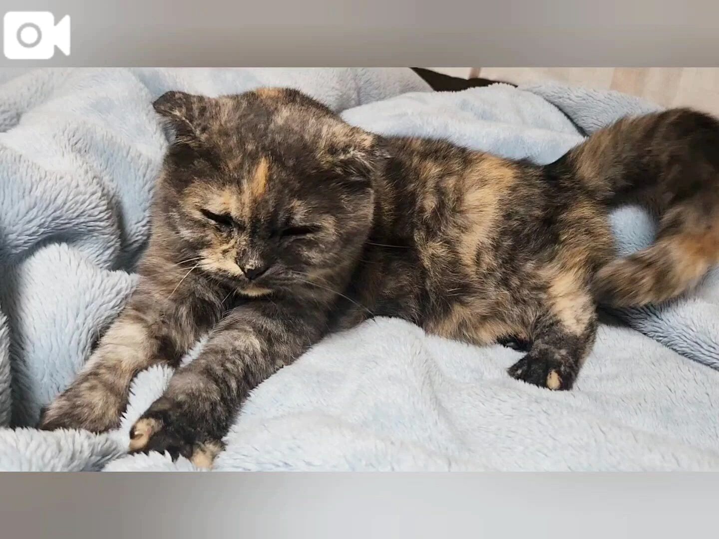 ふみふみしとるー&#10071;