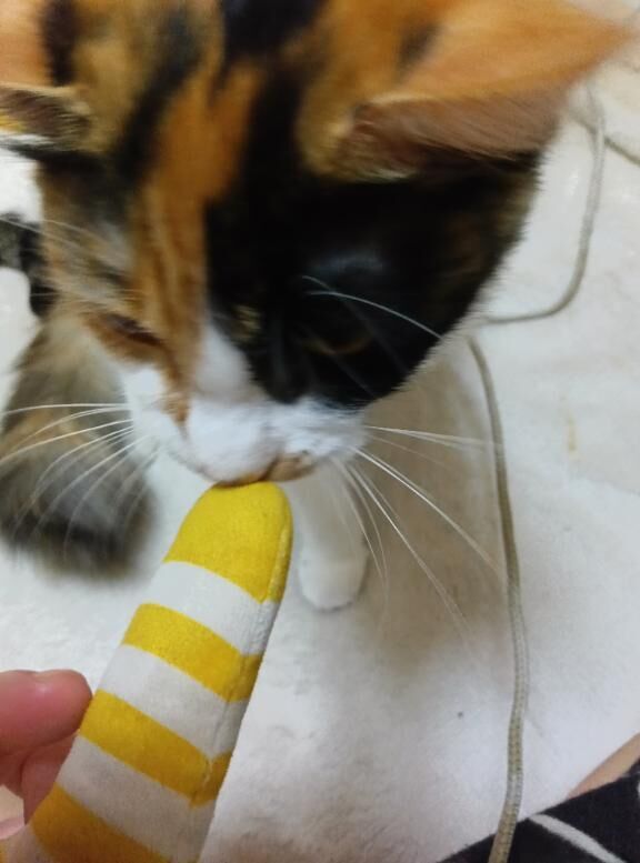 [お題]from:課長補佐代理さん