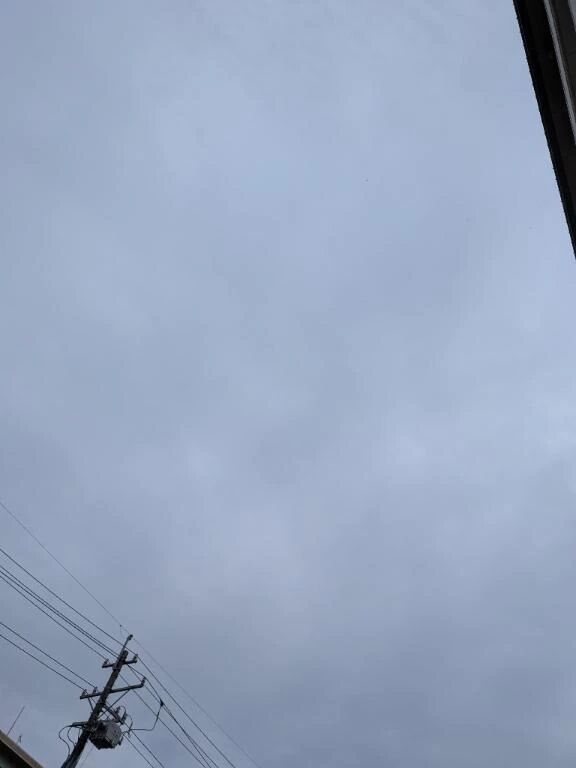 おはようございます☀