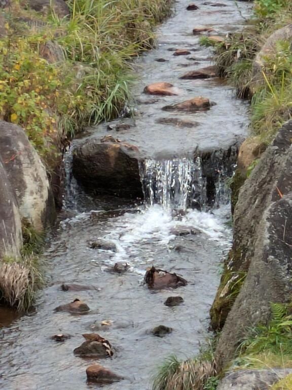 &#129505;今日…&#129505;