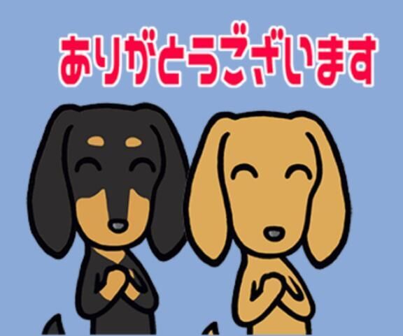 P指様、ありがとう