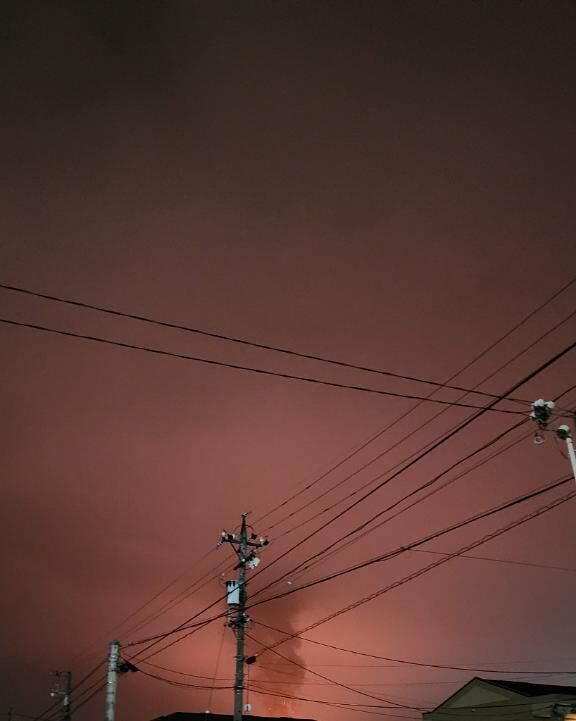 初めてみた！！