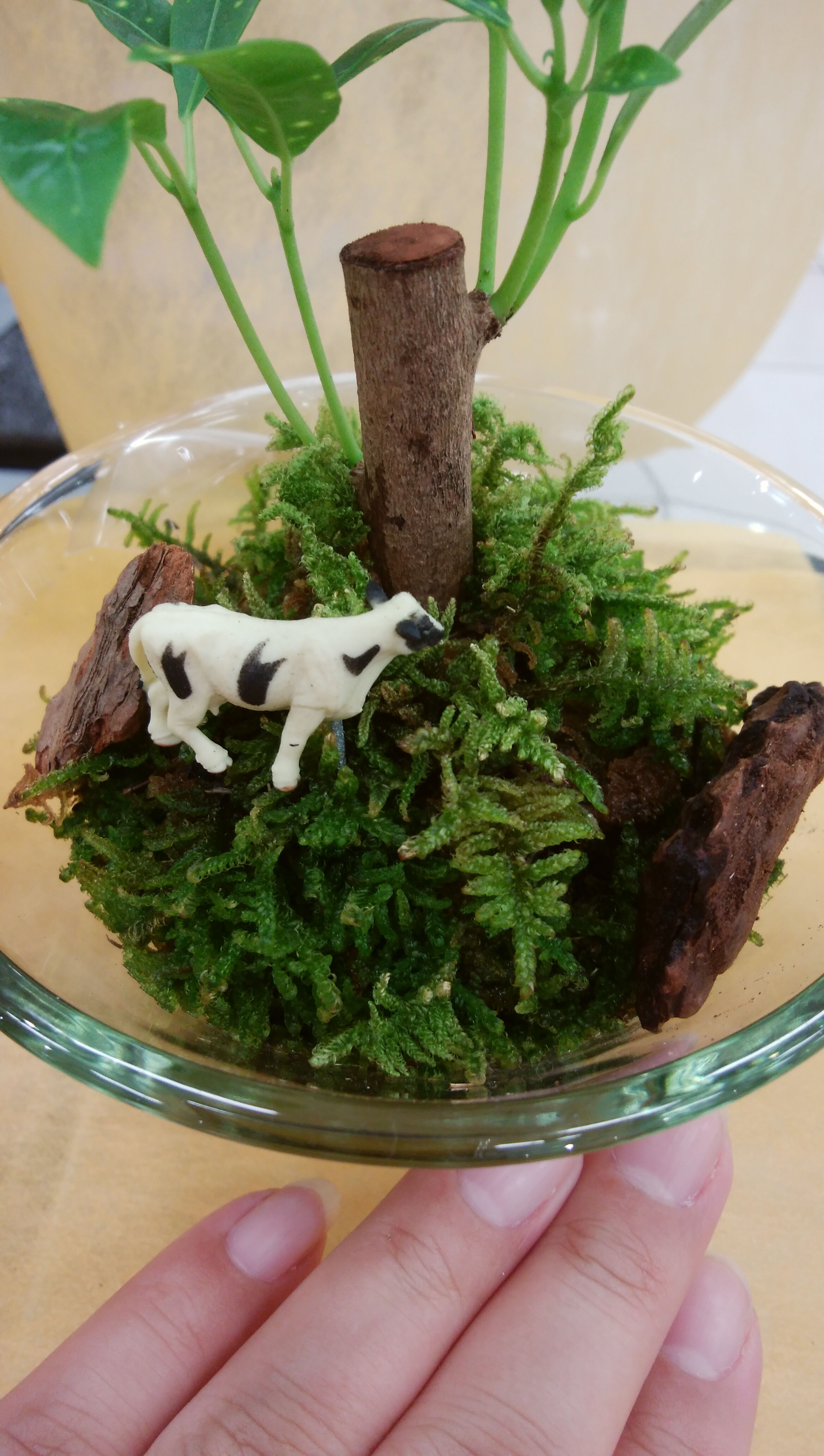 (&#8288;&#664;&#8288;&#7447;&#8288;&#664;&#8288;&#10047;&#8288;)