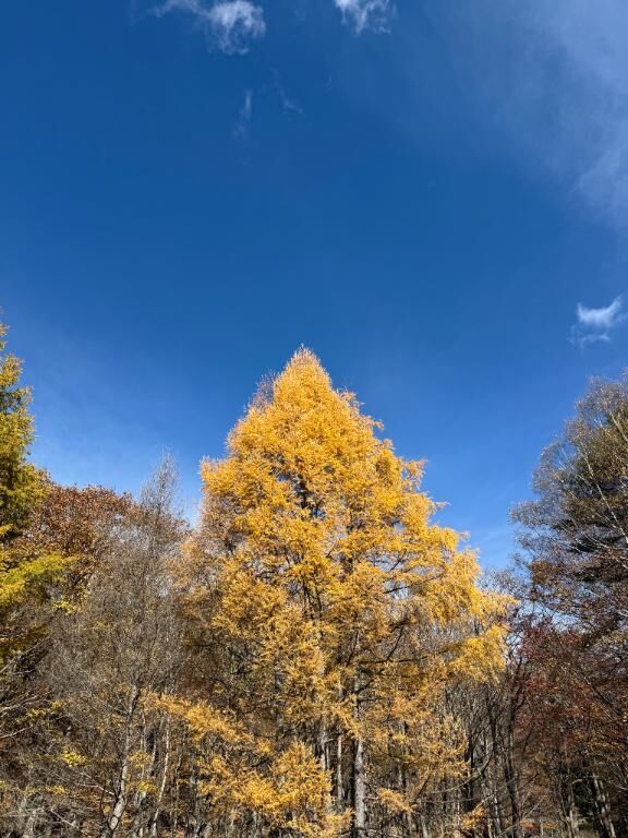 五日の旅路に寄せて