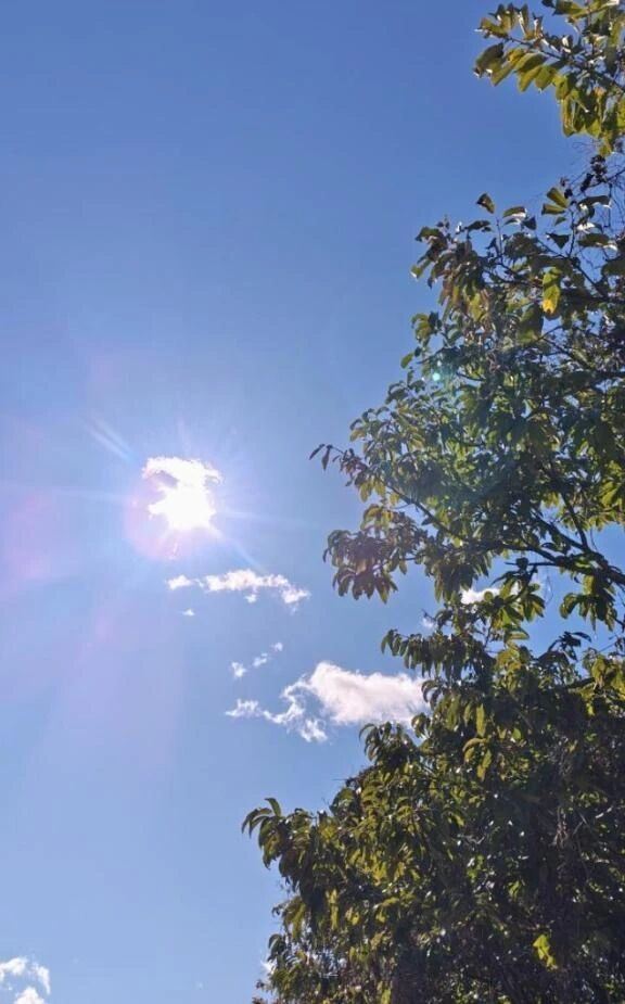 &#129505;こんにちは&#129505;