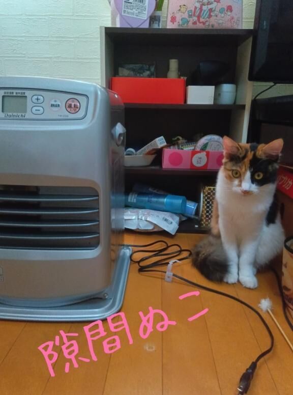 出勤しましたぁ