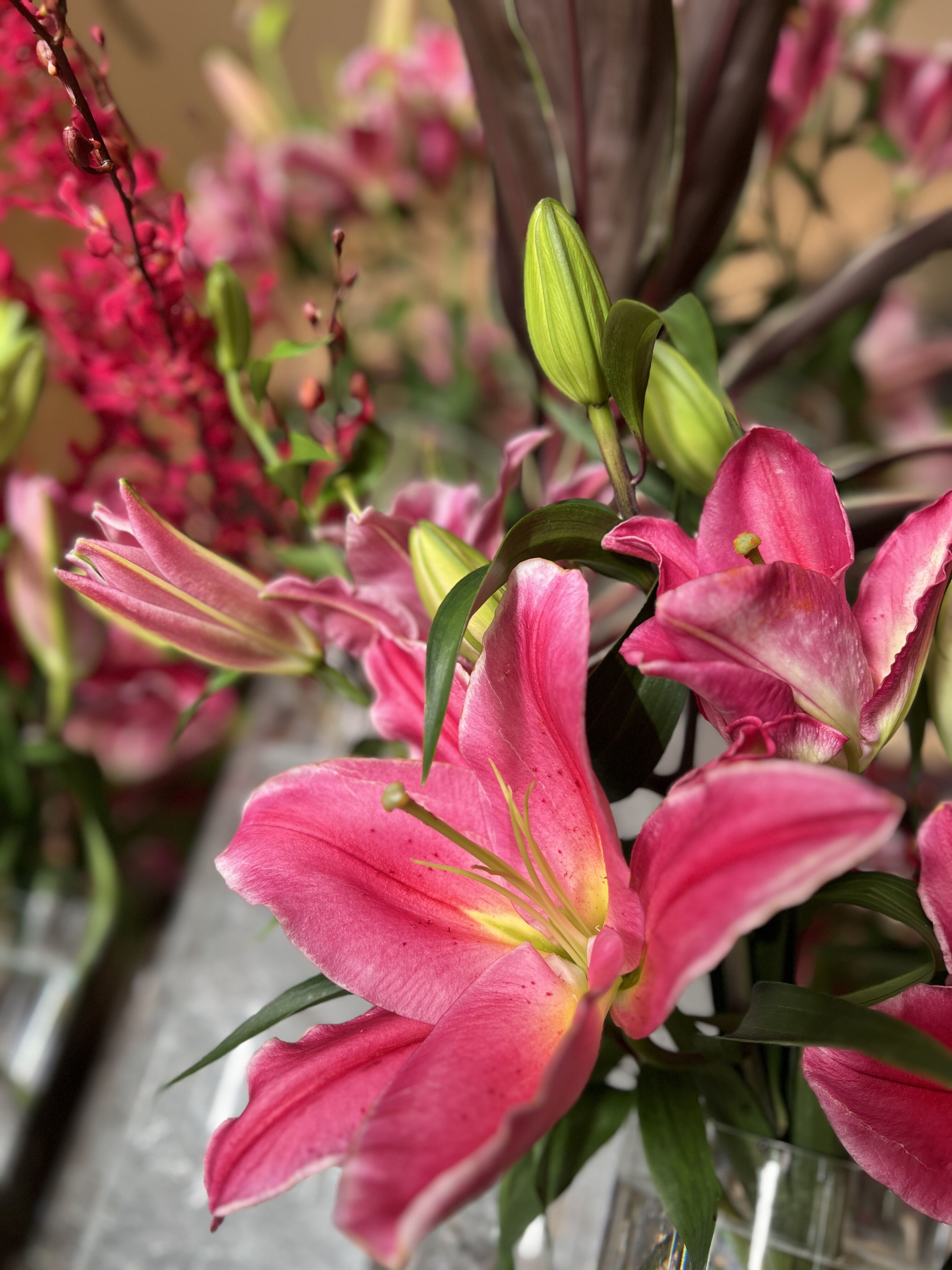 19日ご予約のKサマ。