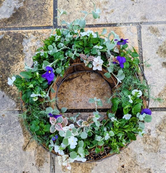 &#9825;&#9825;明日からミツバ出勤です&#9825;&#x301C;&#9825;&#9825;&#9825;